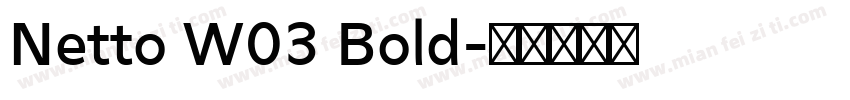Netto W03 Bold字体转换